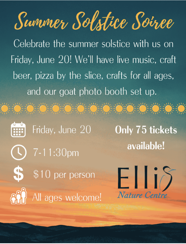 Summer Solstice Soiree