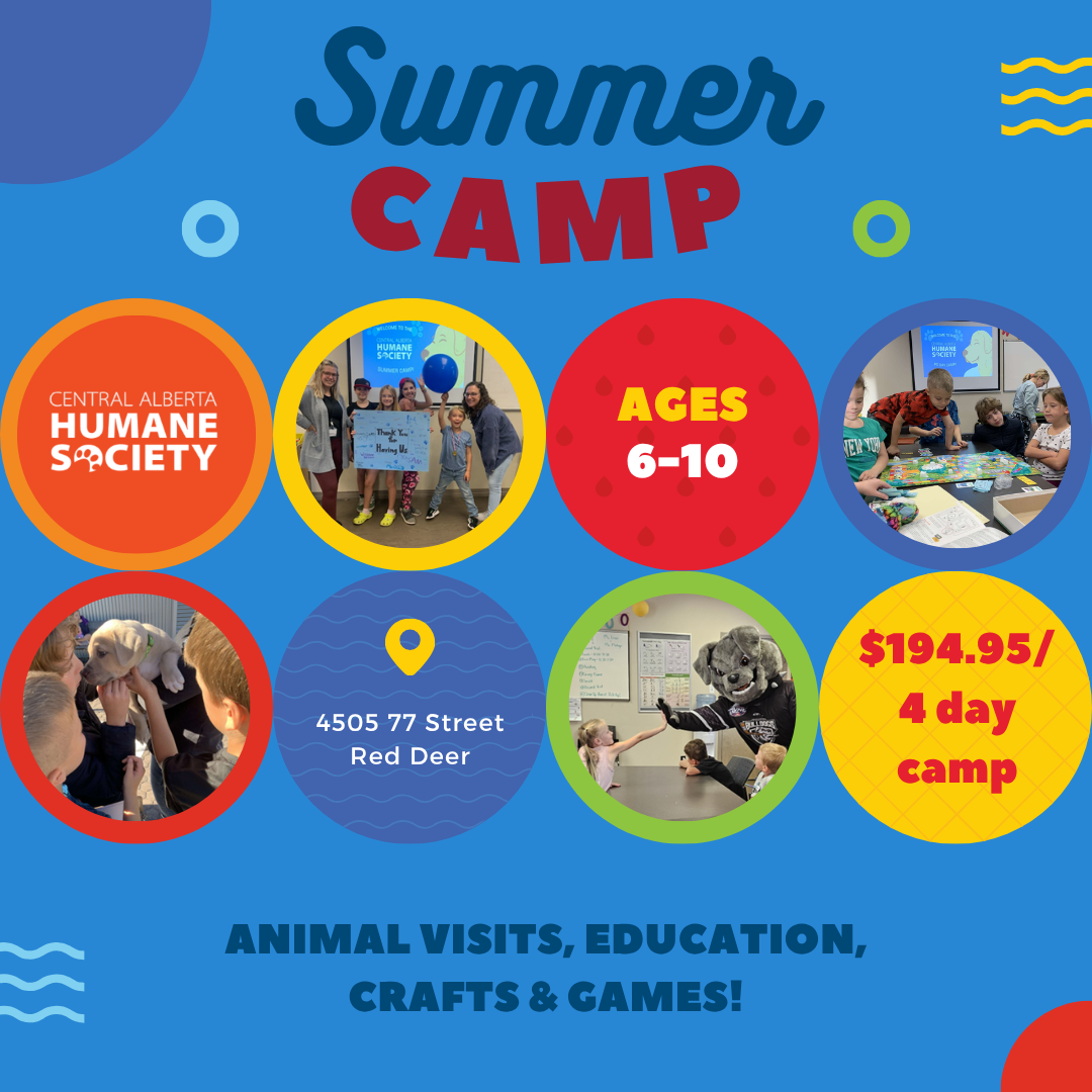 CA Humane Summer Camp