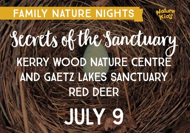Family Nature Night - Avian Adventures with Nature Alberta