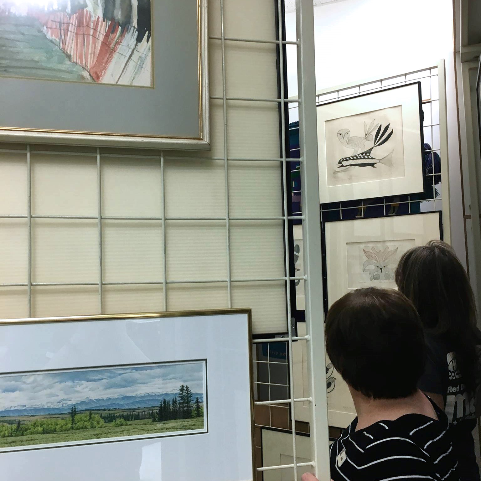 Behind Closed Doors: Collections Tours